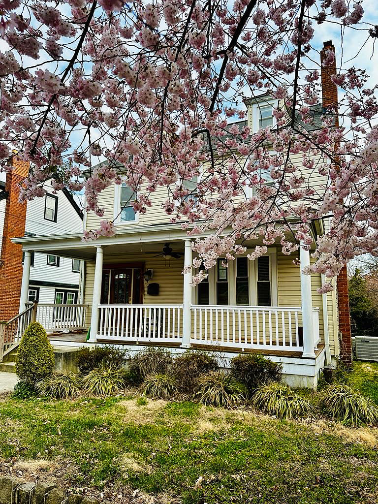 Furnished Finder property 1015751_1 photo 1