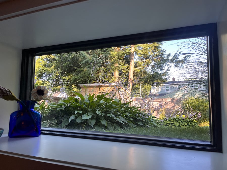 Living room window overlooking secluded garden.