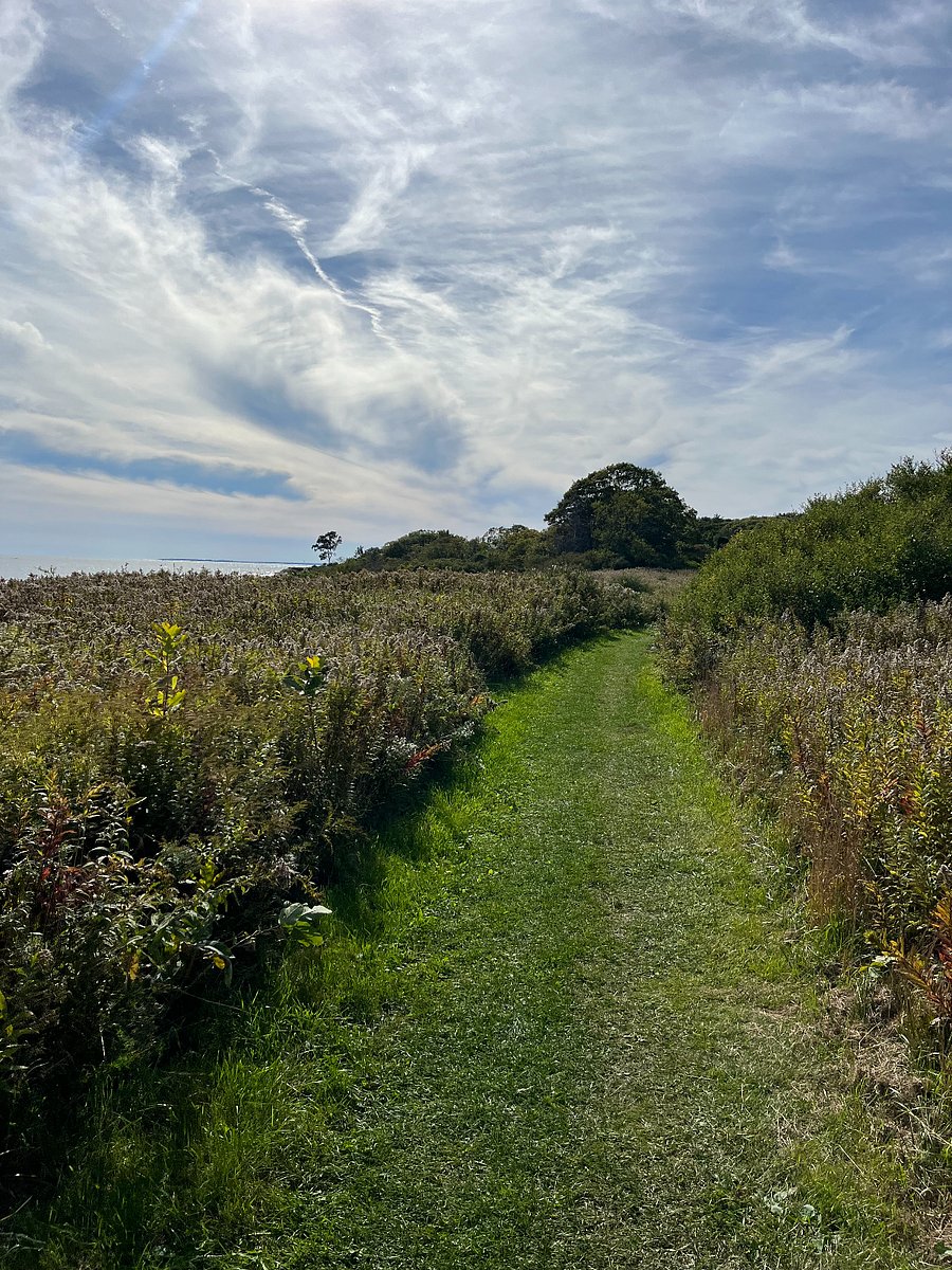 Crescent Beach walking trails, 10 mins.