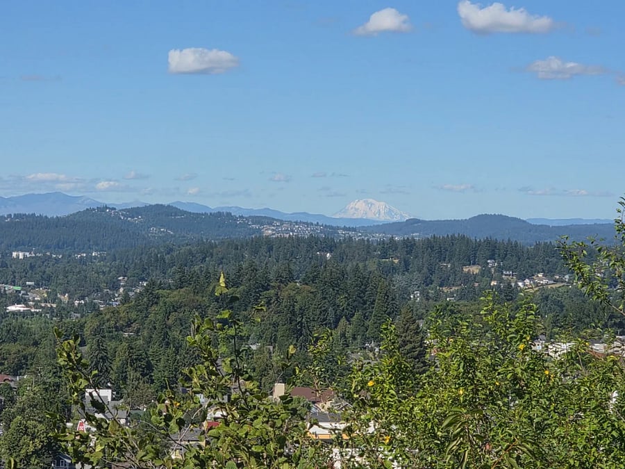 Furnished Finder property 1015821_1 photo 11
