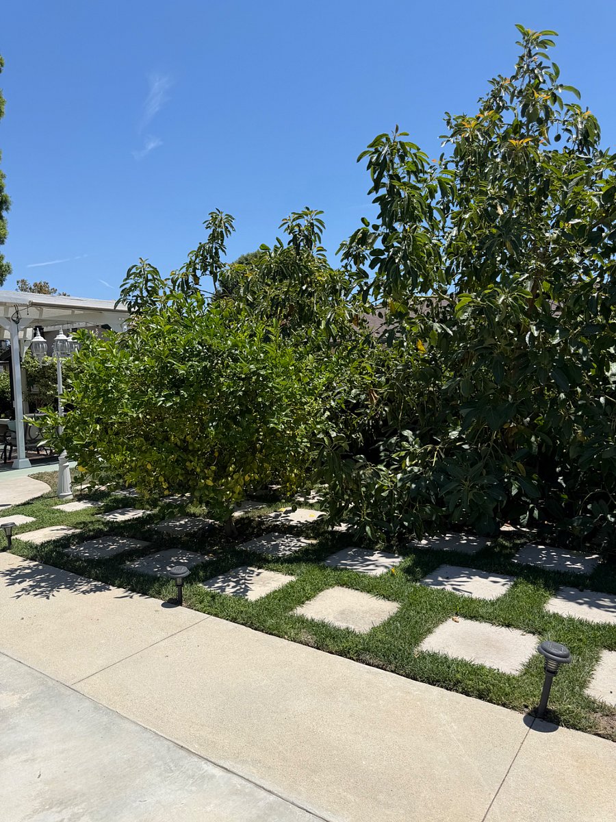 Furnished Finder property 1015873_1 photo 3