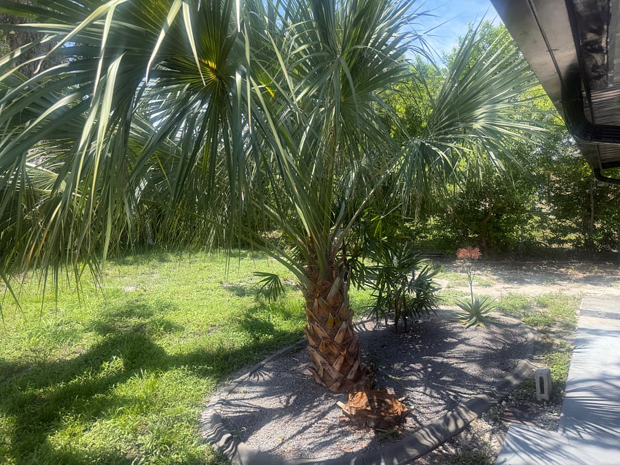 Furnished Finder property 1015876_1 photo 23