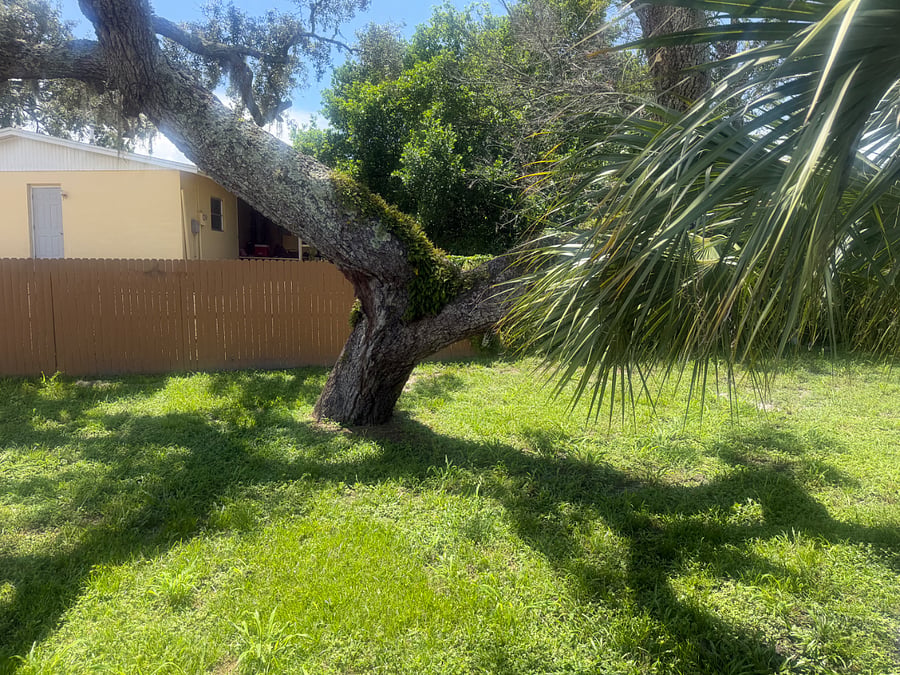 Furnished Finder property 1015876_1 photo 24