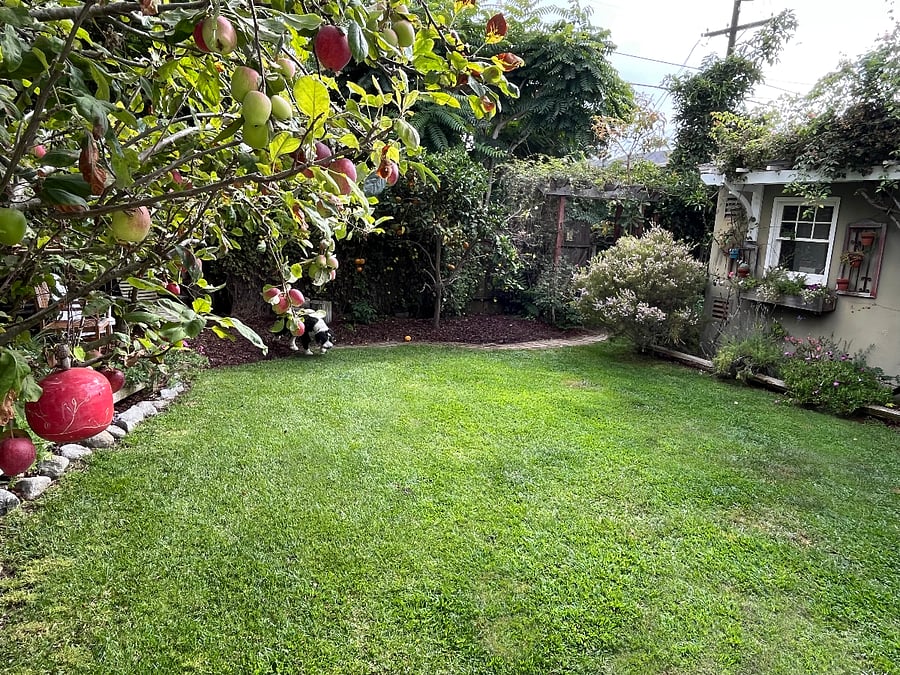 Fully fenced in property.