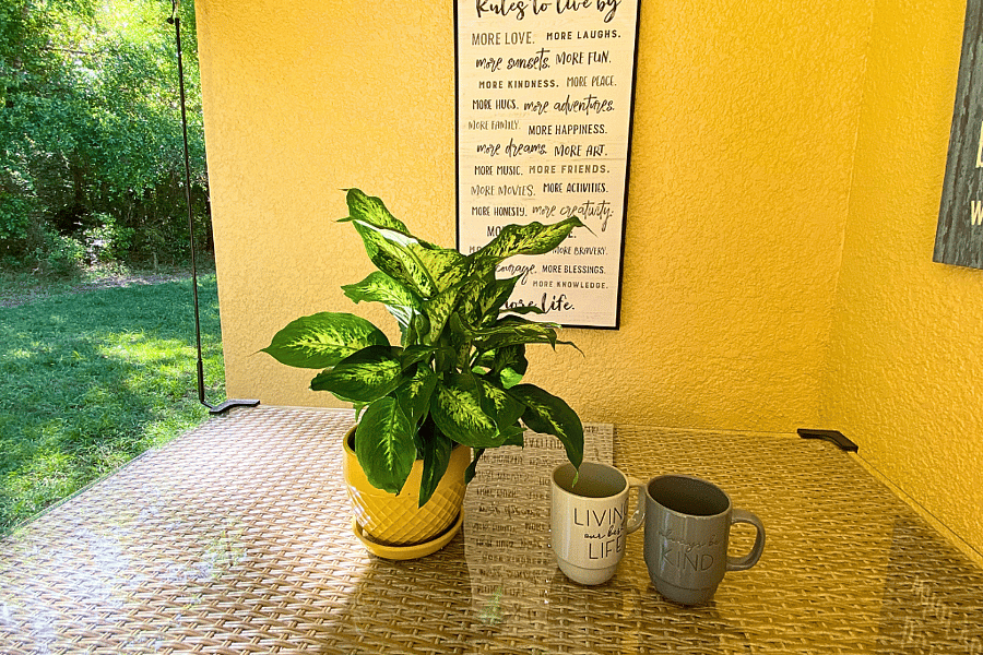 Furnished Finder property 1015928_1 photo 25