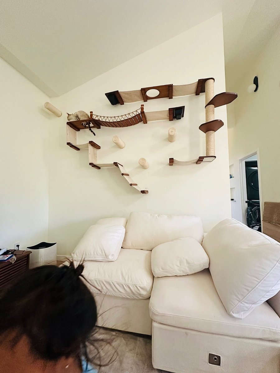 Furnished Finder property 1015953_1 photo 6