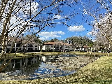 Furnished Finder property 1016002_1 photo 15