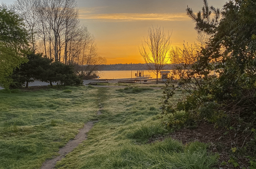 Magnuson Park