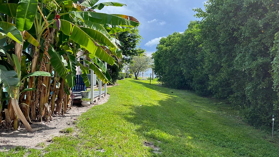 Furnished Finder property 1016146_1 photo 17
