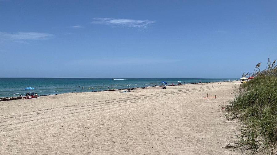 Walk to the beach!