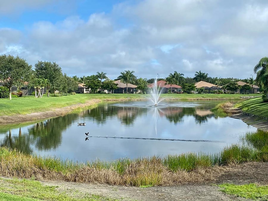 Furnished Finder property 1016165_1 photo 23
