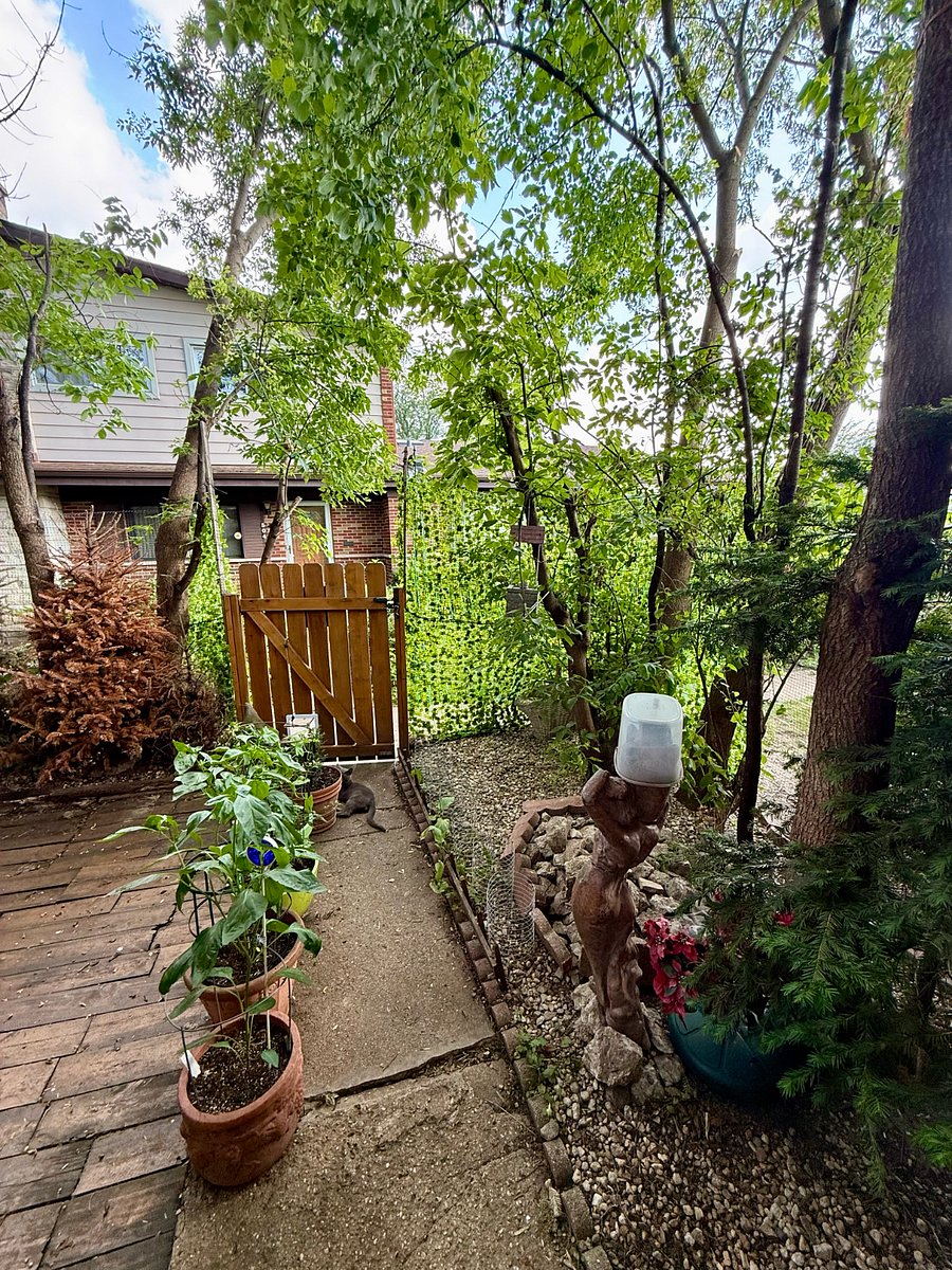 Backyard - with a locked gate