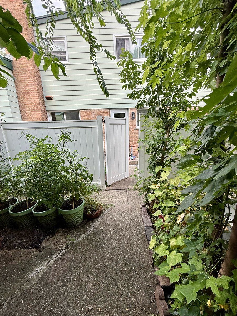 Front yard