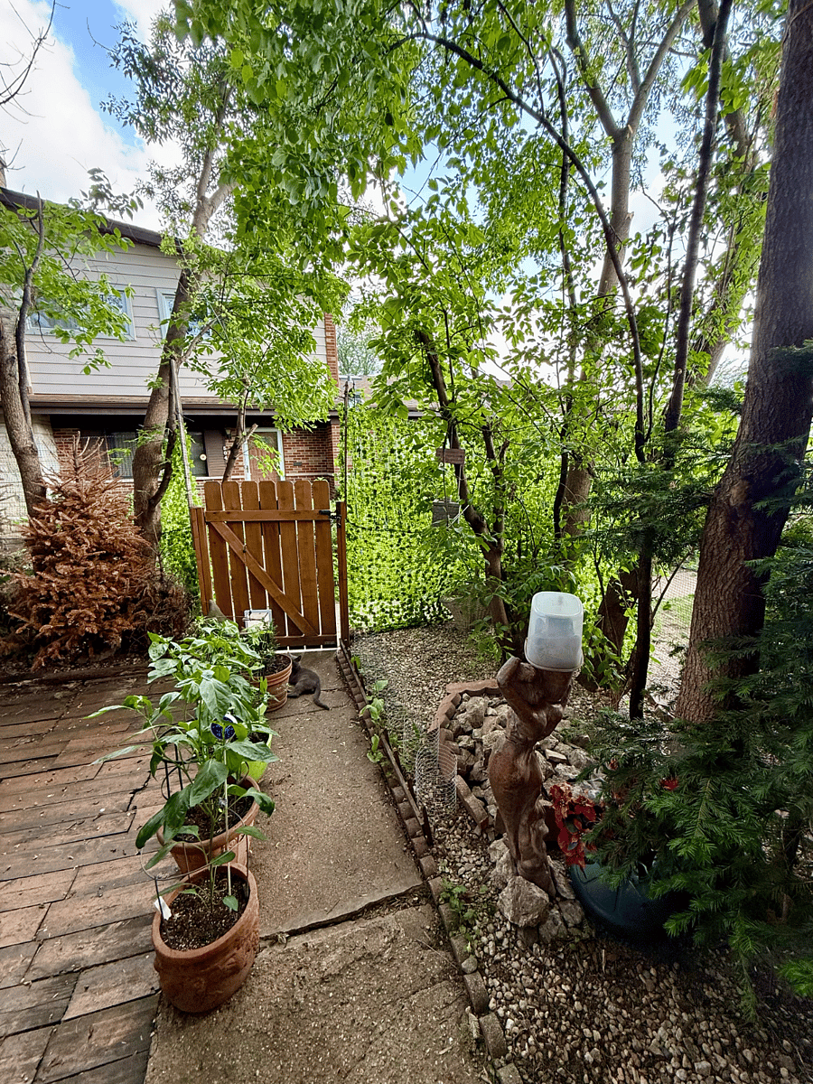 Furnished Finder property 1016237_2 photo 15