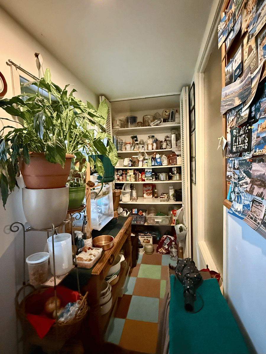 Kitchen pantry