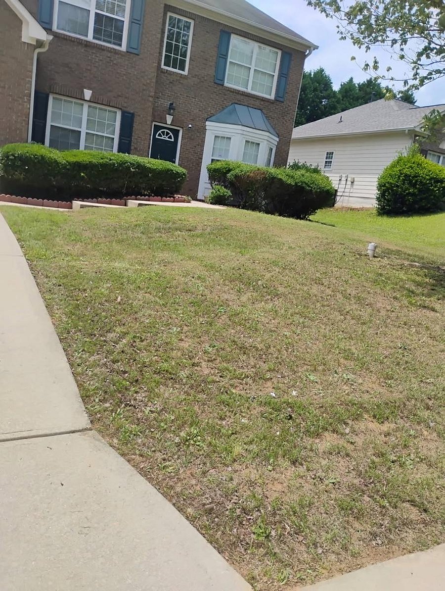 Furnished Finder property 1016282_1 photo 20
