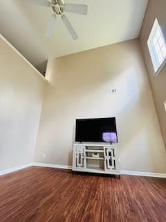 Furnished Finder property 1016282_2 photo 12