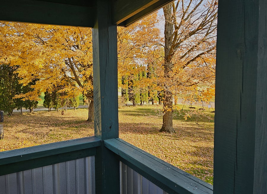View to East from Stairway landing