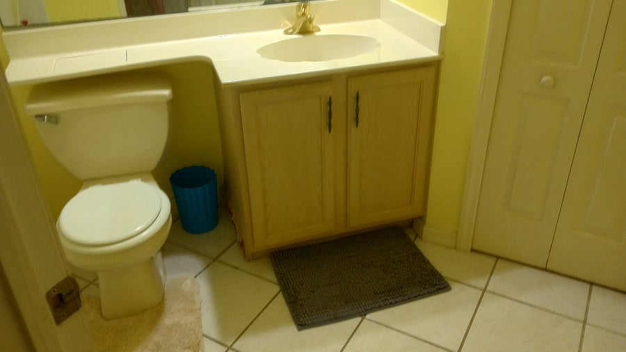 View of the guest bathroom commode, sink, and vanity.