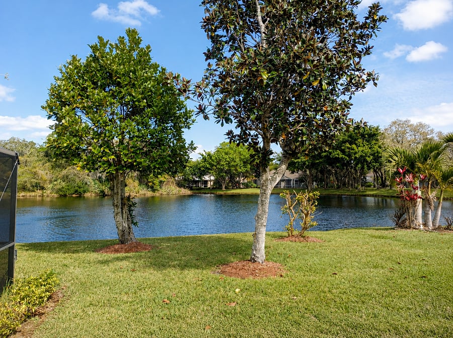View of backyard looking north towards KSC.
