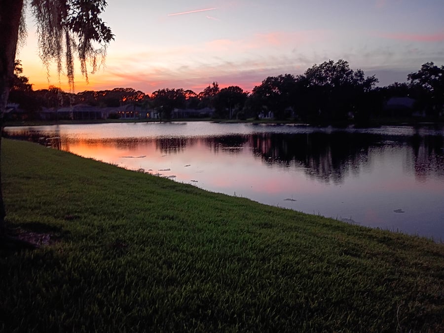 Furnished Finder property 1016321_1 photo 22