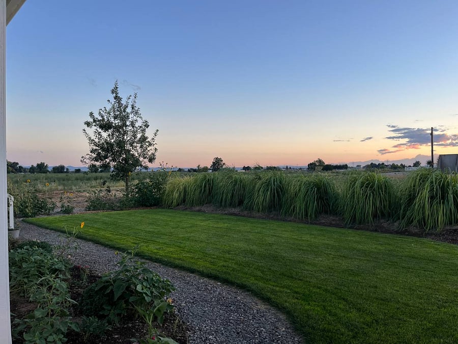 Furnished Finder property 1016332_1 photo 3