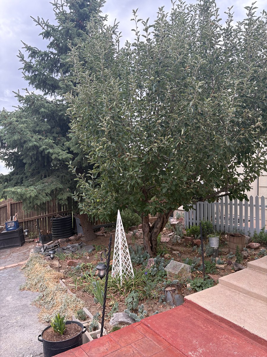 Furnished Finder property 1016335_1 photo 12