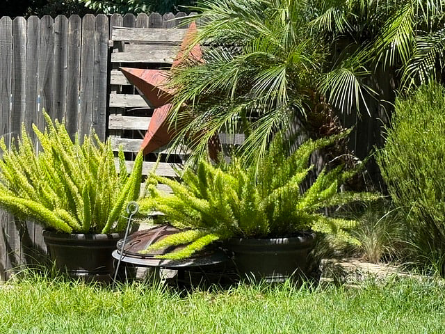 Furnished Finder property 1016398_1 photo 25