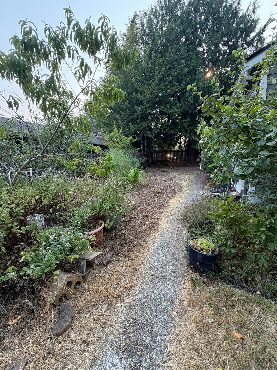 Furnished Finder property 1016412_1 photo 24