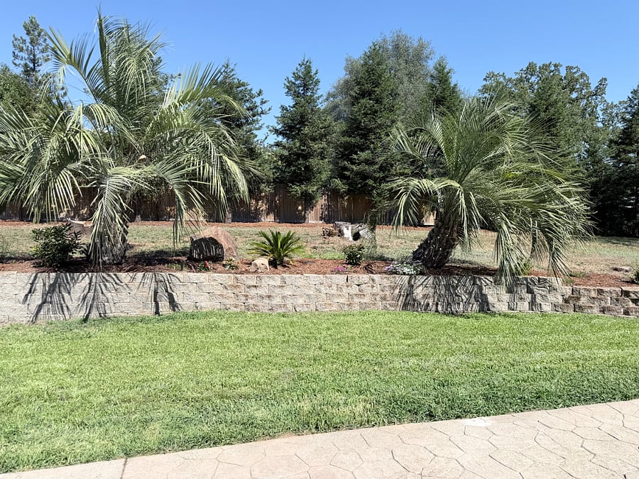 Furnished Finder property 1016446_1 photo 11