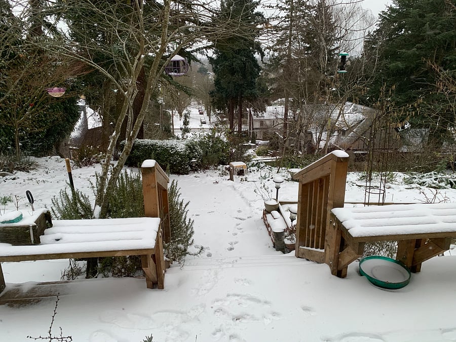 A rare winter storm