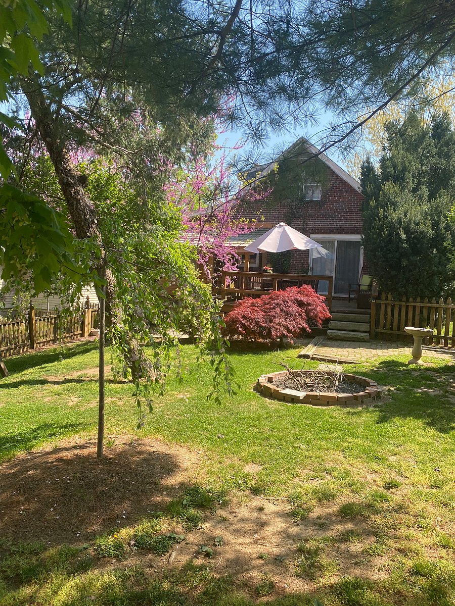 Furnished Finder property 1016568_1 photo 4