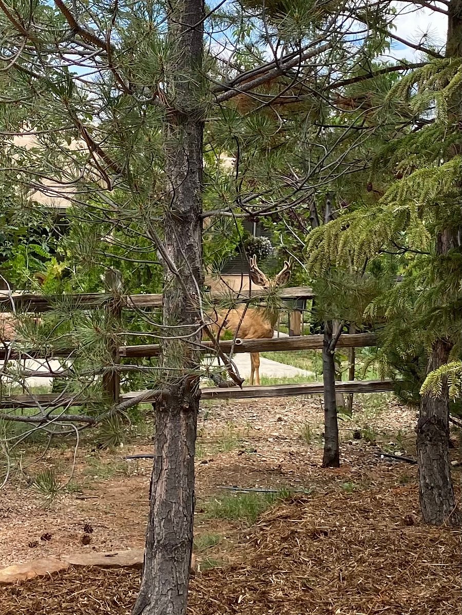 Friendly neighbors!
