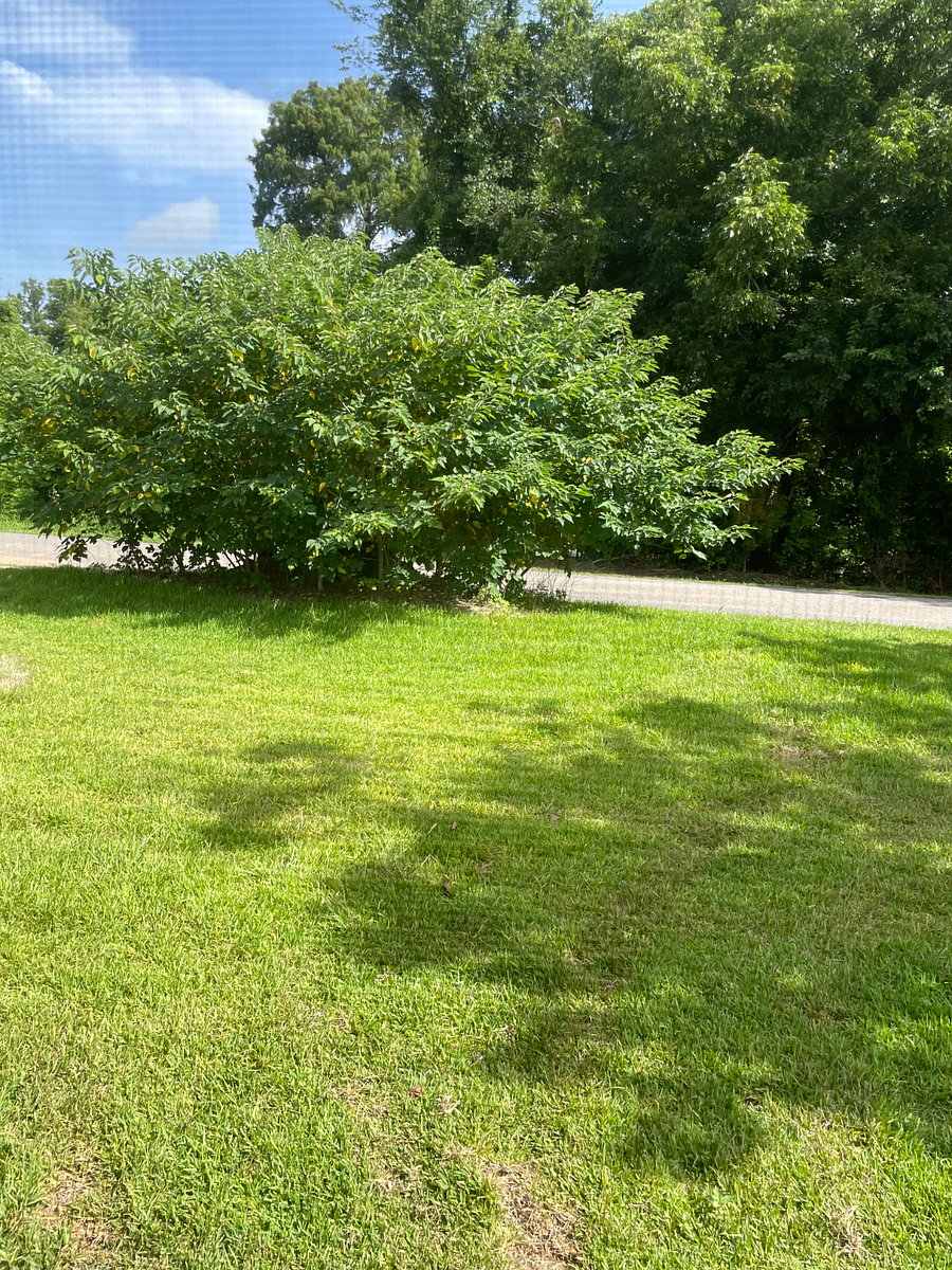 Furnished Finder property 1016610_1 photo 13