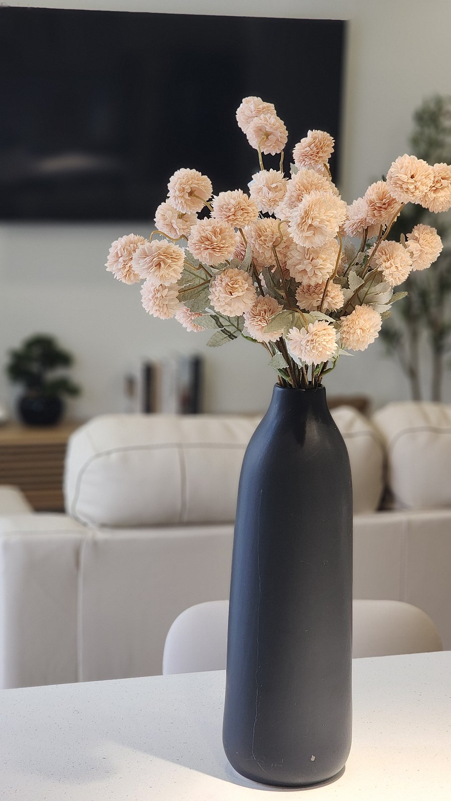 Furnished Finder property 1016662_1 photo 6