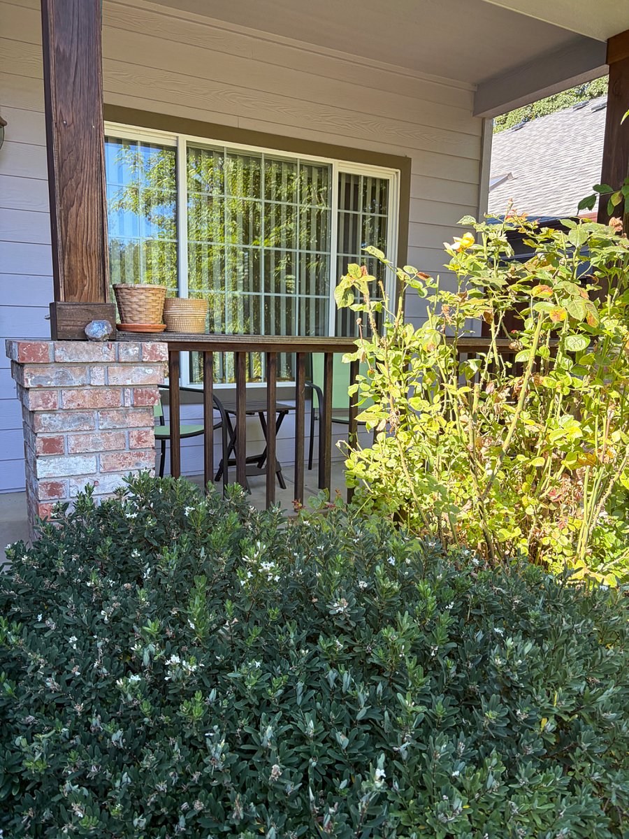Furnished Finder property 1016698_1 photo 13