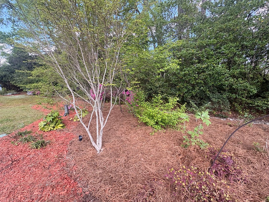 Furnished Finder property 1016708_1 photo 21