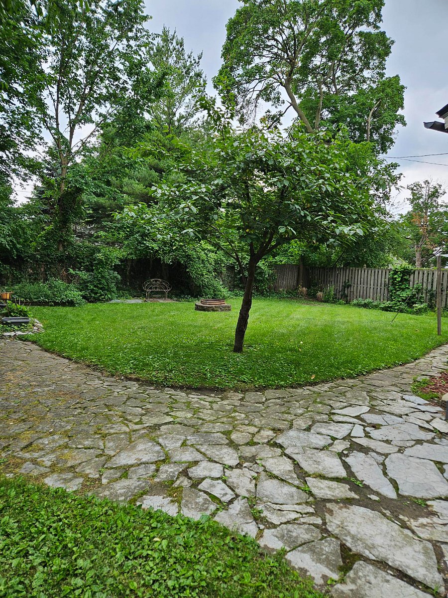 Furnished Finder property 1016786_1 photo 25