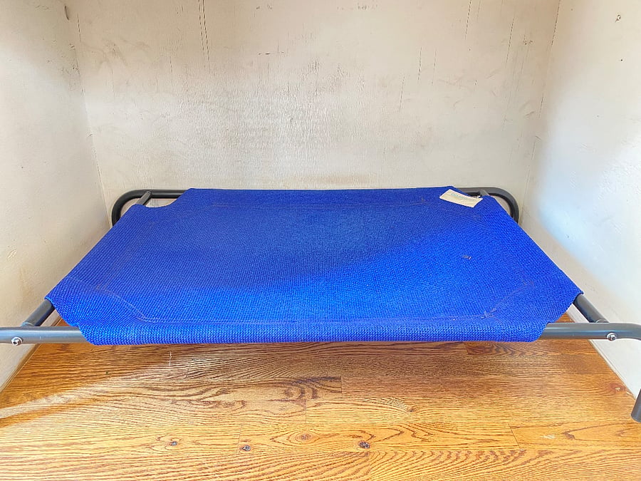 Dog bed area at back entrance.