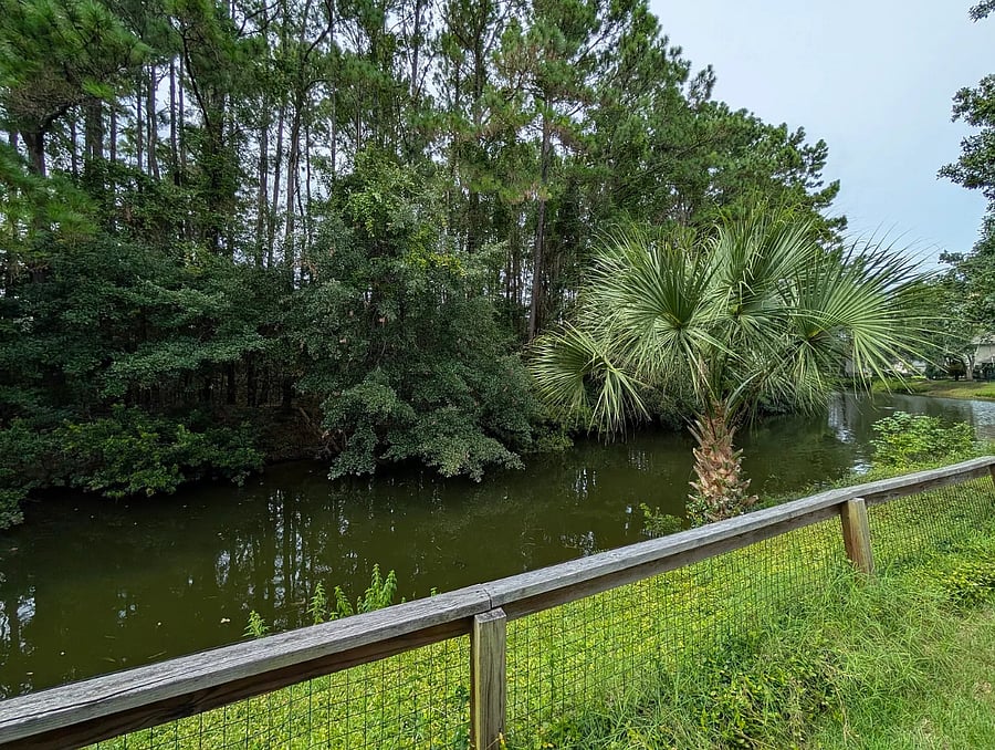 Furnished Finder property 1016861_1 photo 10