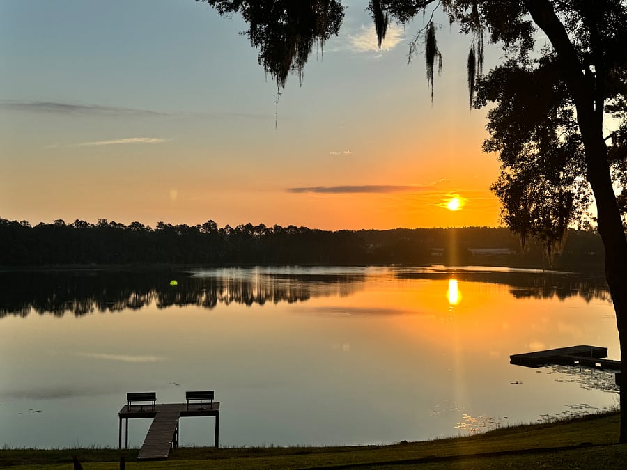 Furnished Finder property 1016899_1 photo 13