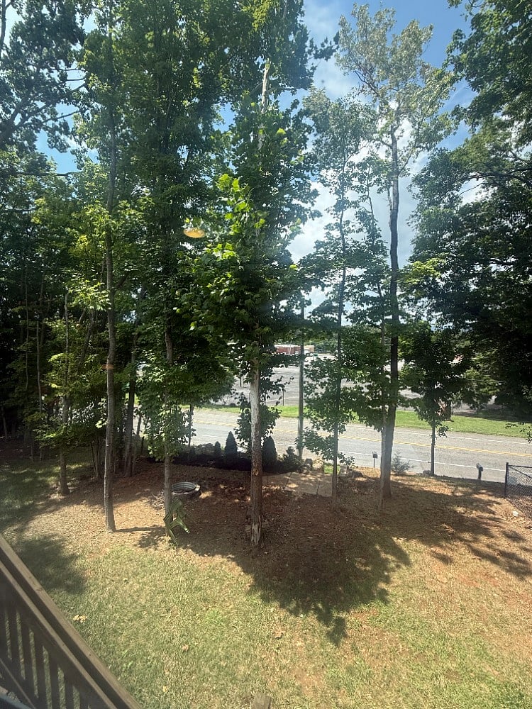 Suite # 1 - backyard view from bedroom window