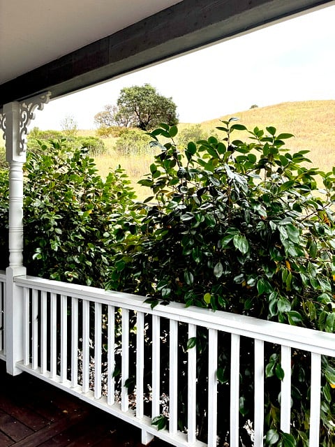 Furnished Finder property 1016915_1 photo 17
