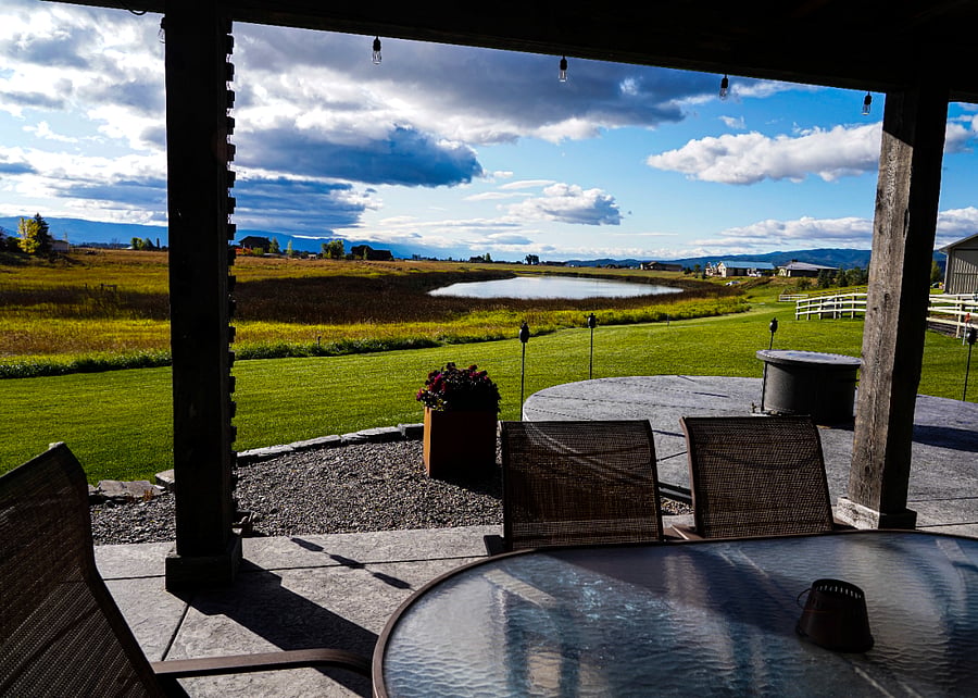 View from patio.