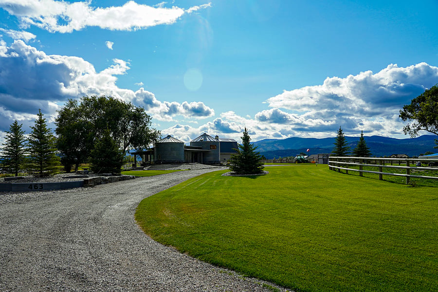 Lots of grass on the entry driveway to the Silo House.