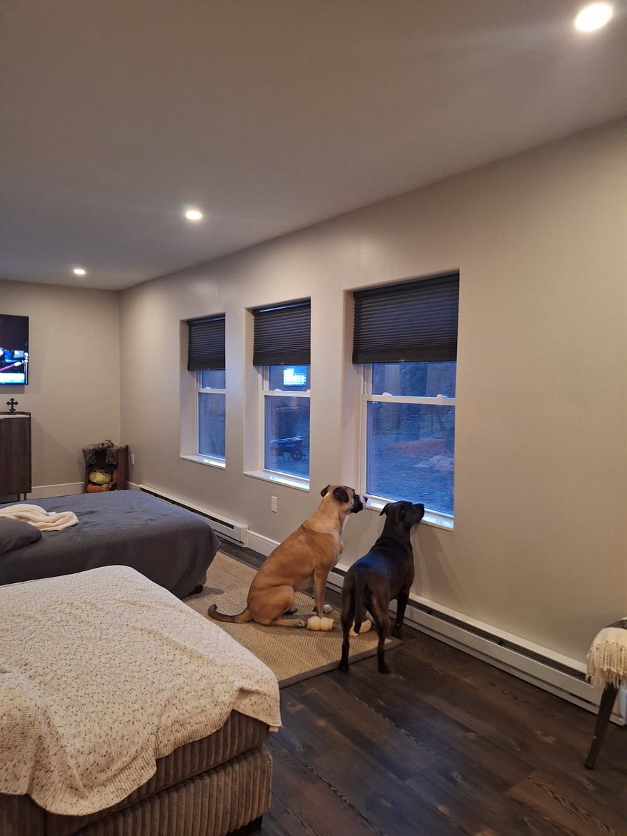Furnished Finder property 1016961_1 photo 8