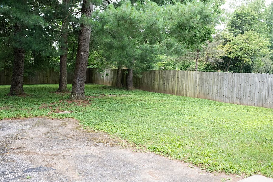 Furnished Finder property 1016983_1 photo 3