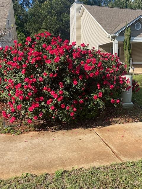 Furnished Finder property 1017068_1 photo 12