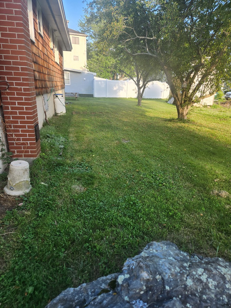 Furnished Finder property 1017096_1 photo 20