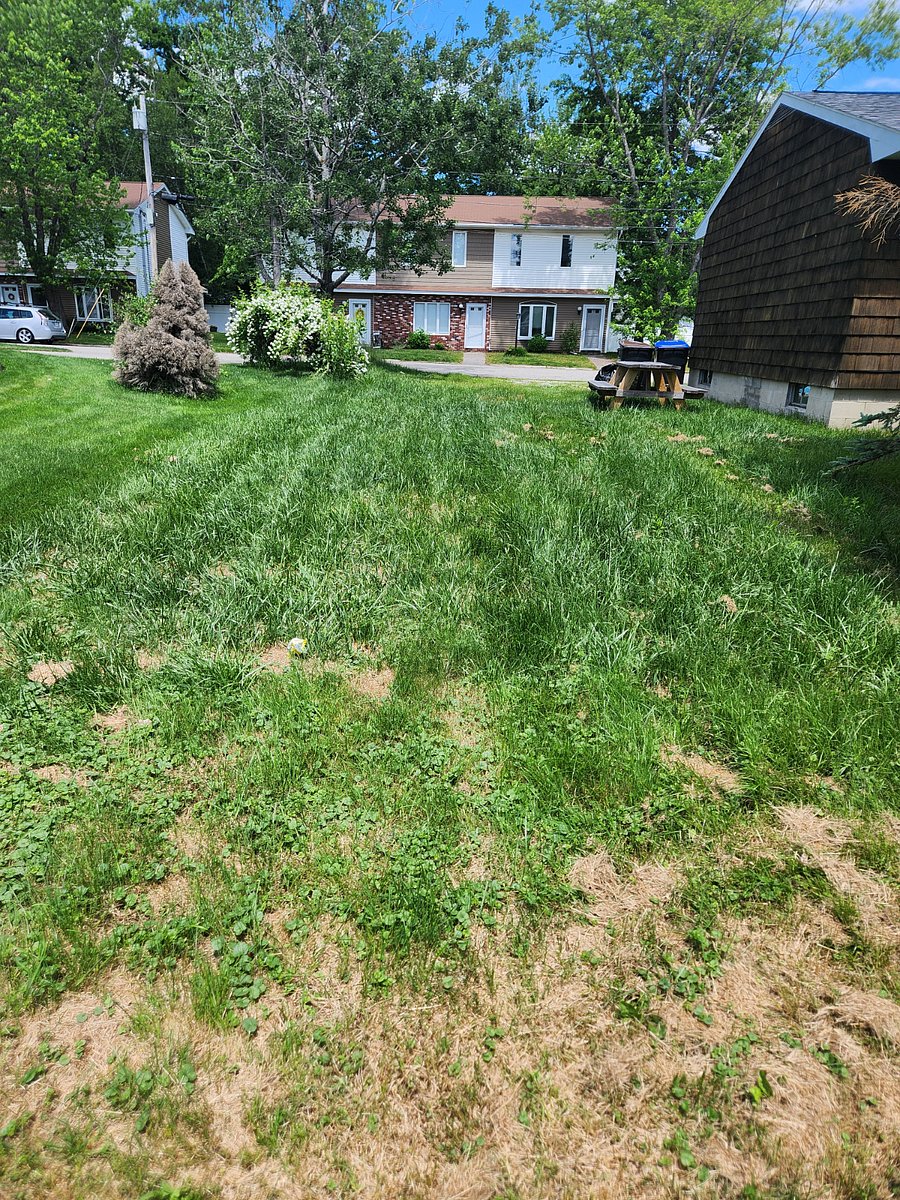 Furnished Finder property 1017096_1 photo 22